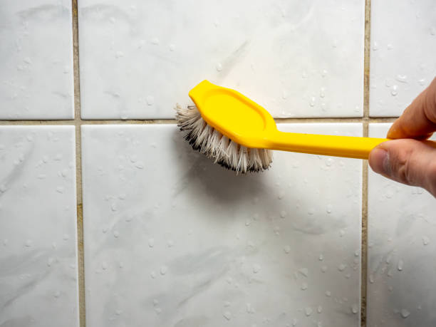 Best Local Mold Removal Service  in Auburn, KS